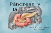 Páncreas y Duodeno Ruby N. Gutiérrez XII Semestre.