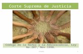 Corte Suprema de Justicia Código de la Niñez y la Adolescencia, Ley No.287, Nov.1998. OTSSPA1.