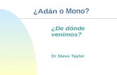 ¿ Adán o Mono? ¿De dónde venimos? Dr Steve Taylor.