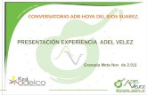 CONVERSATORIO ADR HOYA DEL RIOS SUAREZ. Granada Meta Nov de 2.011 PRESENTACIÓN EXPERIENCIA ADEL VELEZ.