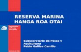 RESERVA MARINA HANGA ROA OTAI Subsecretario de Pesca y Acuicultura Pablo Galilea Carrillo.