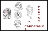 PUNTOS CARDENALES P U N T O S Los Puntos Cardenales muestran un itinerario vital, un mapa de la anatomía femenina que traza las señales de un viaje al.