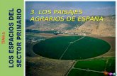 3.  paisajes agrarios de españa