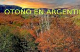 Otoño en el sur argentino