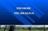 INFORME NICARAGUA. Legislación Resolución Ministerial No. 36-2003 emitida y oficializada por MARENA, la cual establece el procedimiento administrativo.