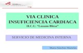 VIA CLINICA INSUFICIENCIA CARDIACA H.C.U. Lozano Blesa SERVICIO DE MEDICINA INTERNA Marta Sánchez Marteles.