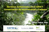 Servicios Ambientales en el CBVCT: Conservación de biodiversidad y Carbono Diego Tobar, MSc.