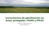 Instrumentos de planificación en áreas protegidas: PORN y PRUG Rosario Tejera Gimeno Curso 2009-10.