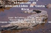 Conservación y situación de crocodílidos de Costa Rica Juan Bolaños 1 y Luz Denia Barrantes 1,2 1 Asociación de Especialistas en Crocodílidos - Costa Rica.