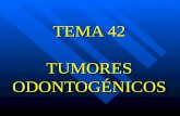 TEMA 42 TUMORES ODONTOGÉNICOS. Tumores Odontogénicos Definición Definición Concepto de Inducción Concepto de Inducción Clasificación Clasificación Diagnóstico.