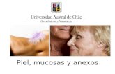 Piel, mucosas y anexos. SOBRE LA NECESIDAD Para Astorquiza (1970), la necesidad de las personas de mantener íntegras la piel y las mucosas está mediada.