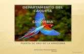 DEPARTAMENTO DEL CAQUETA Ubicación: Se localiza al suroriente, Colombiano Limita con los departamentos de META –GUAVIARE – VAUPÉS – HUILA – CAUCA – PUTUMAYO.