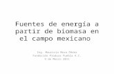 Fuentes de energía a partir de biomasa en el campo mexicano Ing. Mauricio Mora Pérez Fundación Produce Puebla A.C. 9 de Marzo 2011.