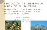 ASOCIACIÓN DE DESARROLLO CLUSA DE EL SALVADOR METODOLOGÍA Y TÉCNICA EMPLEADA EN EL ESTABLECIMIENTO DE LA AGRICULTURA ORGÁNICA EN EL SALVADOR. Carlos Padilla.