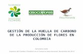GESTIÓN DE LA HUELLA DE CARBONO DE LA PRODUCCIÓN DE FLORES EN COLOMBIA Seminario taller Impacto del Cambio Climático en el Comercio Internacional. Noviembre.
