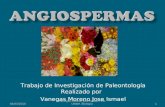 Trabajo de Investigación de Paleontología Realizado por Vanegas Moreno Jose Ismael 04/03/20101 Vanegas Moreno Jose Ismael FESI. UNAM. Biología.