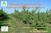 Manejo Integrado de las Enfermedades del duraznero Ing. Agr. Pedro Mondino Curso: Protección Vegetal Frutícola 2003.