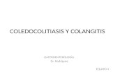 COLEDOCOLITIASIS Y COLANGITIS GASTROENTEROLOGÍA Dr. Rodríguez EQUIPO 4.