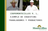 COOPEMONTECILLOS R. L. EJEMPLO DE COGESTION: TRABAJADORES Y PRODUCTORES.