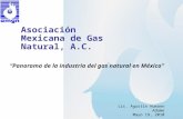 Asociación Mexicana de Gas Natural, A.C. Lic. Agustín Humann Adame Mayo 19, 2010 Panorama de la industria del gas natural en México.