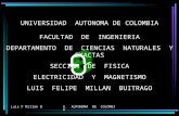 Luis F Millán BU. AUTONOMA DE COLOMBIA UNIVERSIDAD AUTONOMA DE COLOMBIA FACULTAD DE INGENIERIA DEPARTAMENTO DE CIENCIAS NATURALES Y EXACTAS SECCION DE.