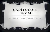 CAPÍTULO 5 – U.V.M. SUSTANTIVOS y ARTÍCULOS. EL ARTÍCULO DEFINIDO EL o LA pgs. 98 & 99.