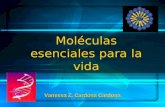 Moléculas esenciales para la vida Vanessa Z. Cardona Cardona.