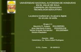 UNIVERSIDAD NACIONAL AUTONOMA DE HONDURAS EN EL VALLE DE SULA CARRERA DE PEDAGOGIA TECNOLOGIA EDUCATIVA I La pizarra tradicional y la pizarra digital.