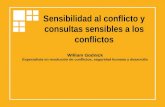 Sensibilidad al conflicto y consultas sensibles a los conflictos William Godnick Especialista en resolución de conflictos, seguridad humana y desarrollo.