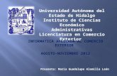 Universidad Autónoma del Estado de Hidalgo Instituto de Ciencias Económico Administrativas Licenciatura en Comercio Exterior INFORMATICA APLICADA AL COMERCIO.