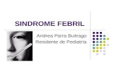 SINDROME FEBRIL Andrea Parra Buitrago Residente de Pediatría.