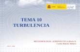 TEMA 10 TURBULENCIA METEOROLOGÍA AERONÁUTICA (Parte I) Carlos Rincón Melero O.E.P. 2.010.