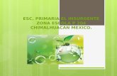 ESC. PRIMARIA EL INSURGENTE ZONA ESCOLA P 204 CHIMALHUACAN MEXICO.