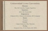 Universidad Liceo Cervantino Alumno: Ma. De Lourdes Vargas Aguilera. Semestre: 3ero. De Preescolar Asignatura: Adquisición y Desenvolvimiento del Lenguaje.