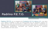 Padrino P.E.T.O. Padrino P.E.T.O. Fundación P.E.T.O. México A.C., Padrino P.E.T.O. es un programa de Fundación P.E.T.O. México A.C., que tiene como objetivo.