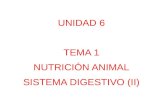 UNIDAD 6 TEMA 1 NUTRICIÓN ANIMAL SISTEMA DIGESTIVO (II)