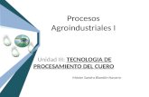 Procesos Agroindustriales I Unidad III: TECNOLOGIA DE PROCESAMIENTO DEL CUERO Máster Sandra Blandón Navarro.