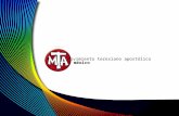 Movimiento teresiano apostólico méxico. Iniciativa del capítulo general de 1999 Necesidad de organizar el MTA a nivel continental a través de la creación.