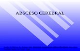 ABSCESO CEREBRAL Coria JJ; Rocha JL, Gómez BD. Absceso cerebral en niños: Revisión. Rev Mex Pediatr; 69(6); 247-251, 2002.