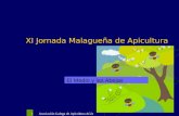 Asociación Galega de Apicultura AGA 1 XI Jornada Malagueña de Apicultura El Medio y las Abejas.