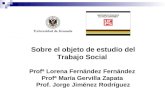 SISTEMATIZACIÓN Y ANÁLISIS DE LA VIOLENCIA ESCOLAR Profª Lorena Fernández Fernández Profª María Gervilla Zapata Prof. Jorge Jiménez Rodríguez Sobre el.