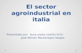 El sector agroindustrial en italia