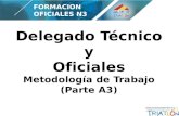 Delegado Técnico y Oficiales Metodología de Trabajo (Parte A3) FORMACION OFICIALES N3.