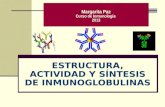 ESTRUCTURA, ACTIVIDAD Y SÍNTESIS DE INMUNOGLOBULINAS Margarita Paz Curso de Inmunología 2013.