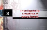 01.Inteligencia Creativa Y Emociones
