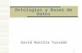 1 Ontologías y Bases de Datos David Bonilla Turrado.