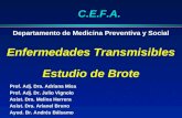 Departamento de Medicina Preventiva y Social Enfermedades Transmisibles Estudio de Brote C.E.F.A. Prof. Adj. Dra. Adriana Misa Prof. Adj. Dr. Julio Vignolo.