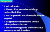 Introdución Absorción, translocación y redistribuición Participación en el metabolismo vegetal Exigencias minerales de las principales culturas Sintomatología.