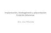 Implantación, blastogénesis y placentación Embrión bilaminar Dra. Lisa Miranda.