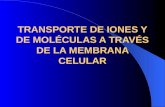 TRANSPORTE DE IONES Y DE MOLÉCULAS A TRAVÉS DE LA MEMBRANA CELULAR.